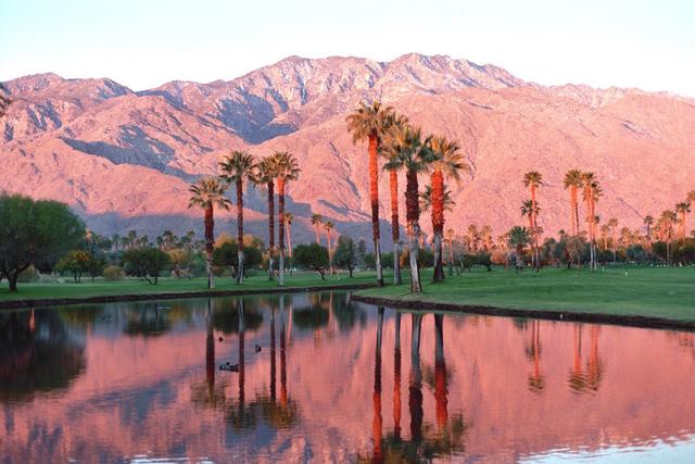Morning Pink Farrel & Mesquite.jpg